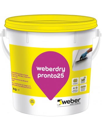 WEBER DRY PRONTO 25 GRIGIO KG.20