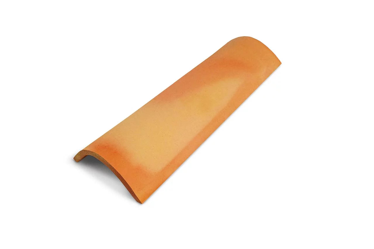 COPPO MARCHIGIANO DALMAZIA "COTTO POSSAGNO"